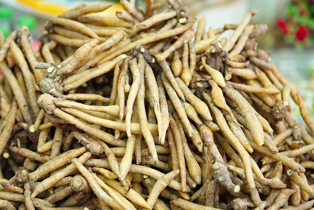 手指根部 根 食物 - 上的免费照片
