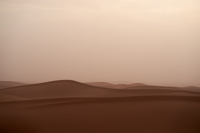 沙尘暴 沙漠 沙 - 上的免费照片