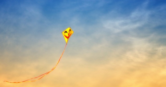 龙 风 自由 - 上的免费照片