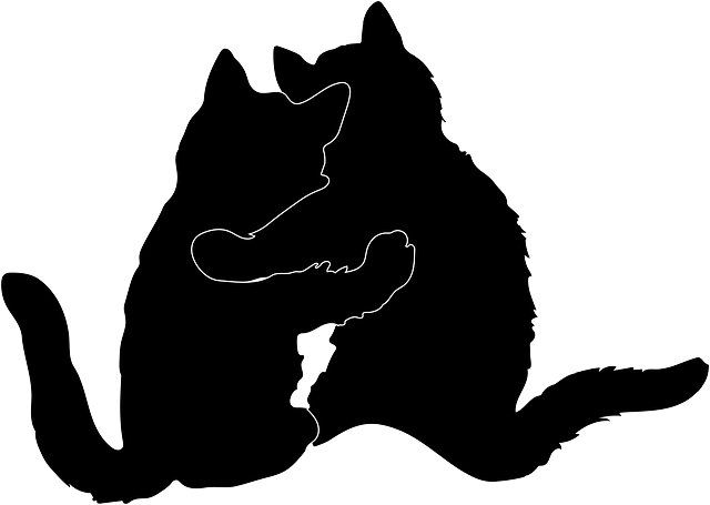 猫 拥抱 轮廓 - 免费矢量图形