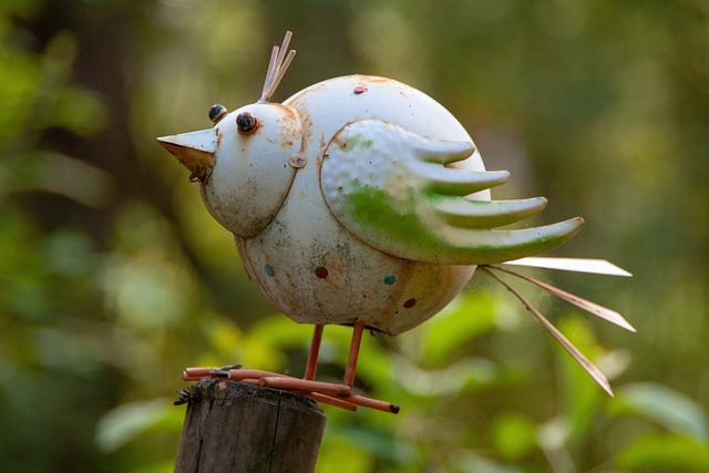 鸟 金属 自然 - 上的免费照片