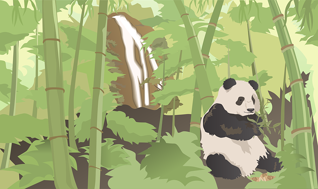 熊猫 竹子 瀑布 - 免费矢量图形