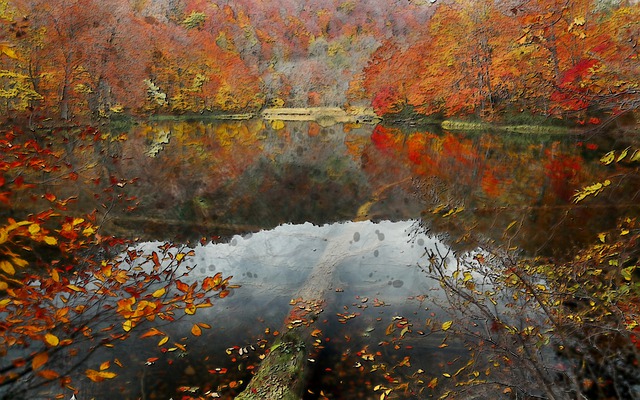 秋天 户外的 水 - 上的免费图片