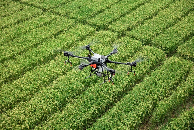 Dji 大疆 无人机 - 上的免费照片