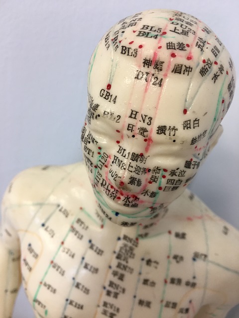 针刺 针灸的模型 人体模型 - 上的免费照片