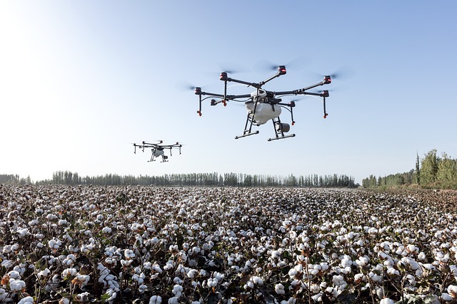 农业 无人机 Dji农业 - 上的免费照片