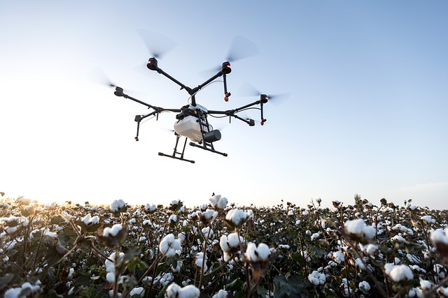 Dji 大疆 大疆农业 - 上的免费照片