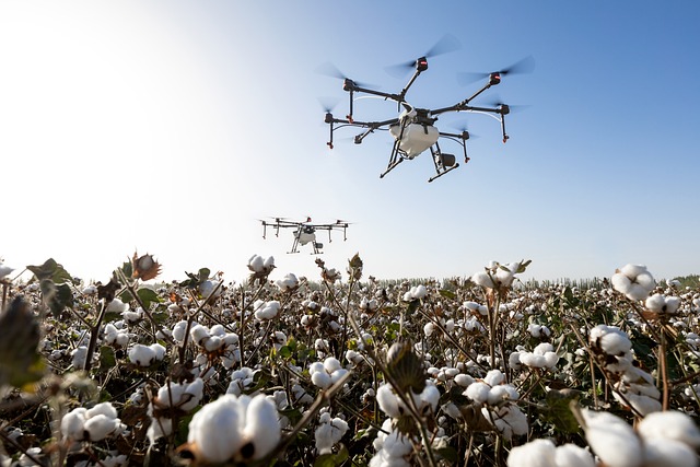 Dji 大疆 大疆农业 - 上的免费照片