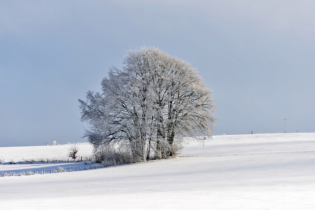 景观 冬天 雪 - 上的免费照片
