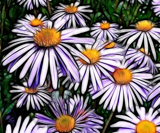 花朵 春天 图示 - 上的免费图片