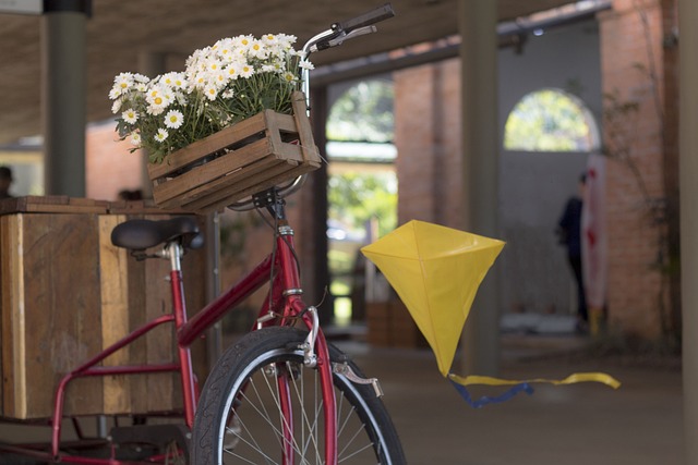 风筝 自行车 花花 - 上的免费照片