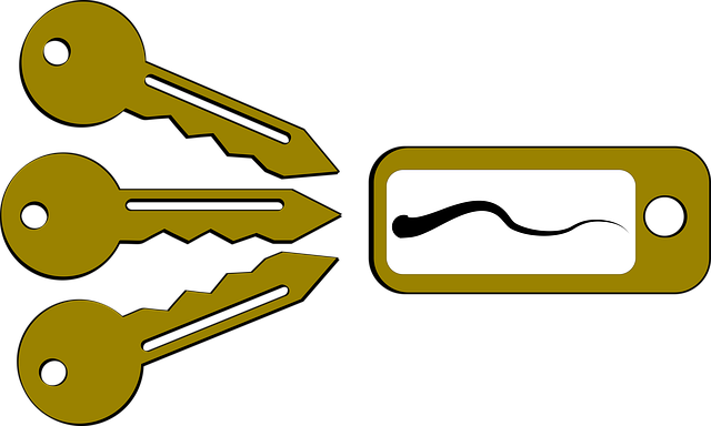 Llave 钥匙 Llavero - 上的免费图片