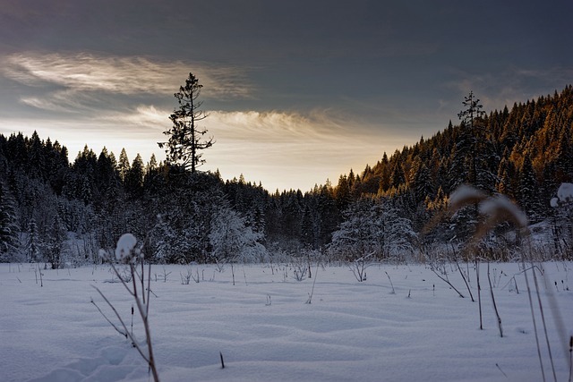 Barmsee 巴伐利亚 雪 - 上的免费照片