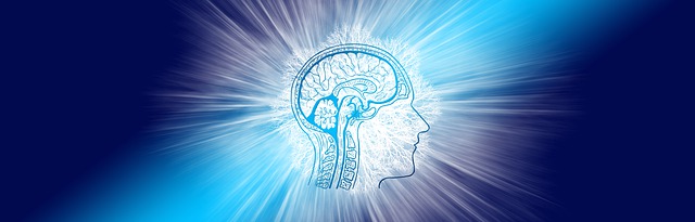 情报 脑 思考 - 上的免费图片