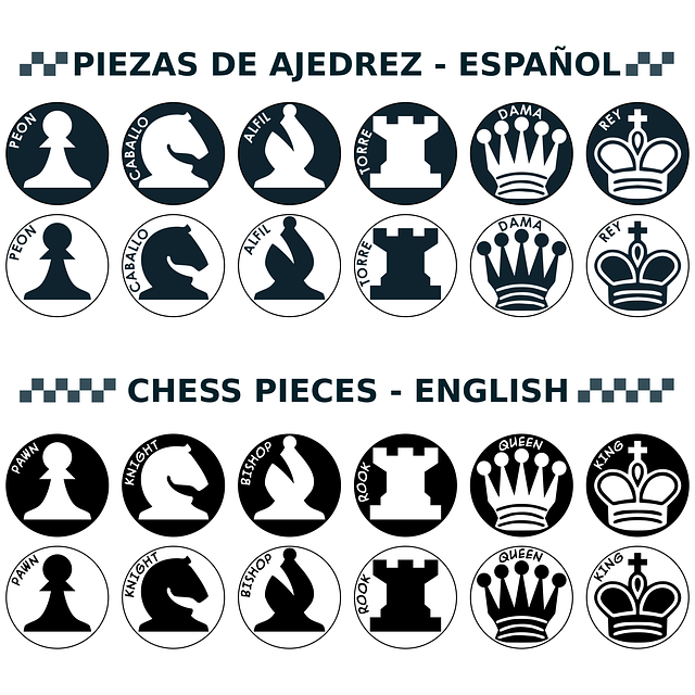 棋 部分的名字 图 - 免费矢量图形