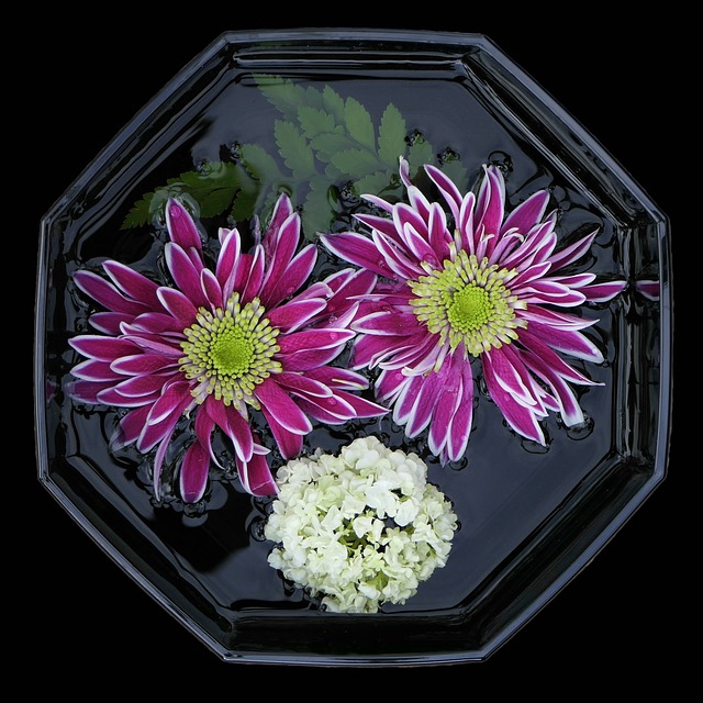 花碗 Asters 花朵紫罗兰色 - 上的免费照片