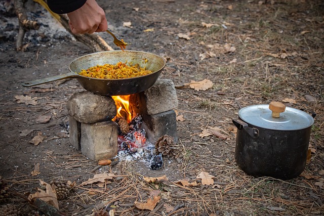 野餐 篝火 抓饭 - 上的免费照片
