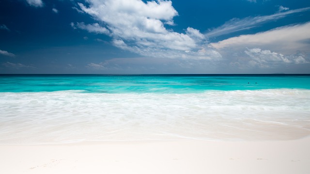 塞舌尔 海滩 海 - 上的免费照片