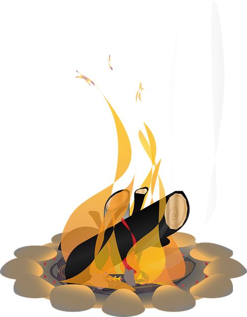 形象的 营火 火 - 免费矢量图形