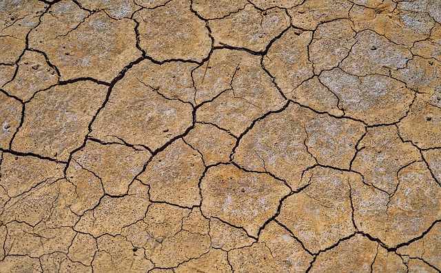 地面 干燥 结构体 - 上的免费照片