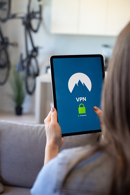 Vpn 虚拟专用网络 Mac - 上的免费照片