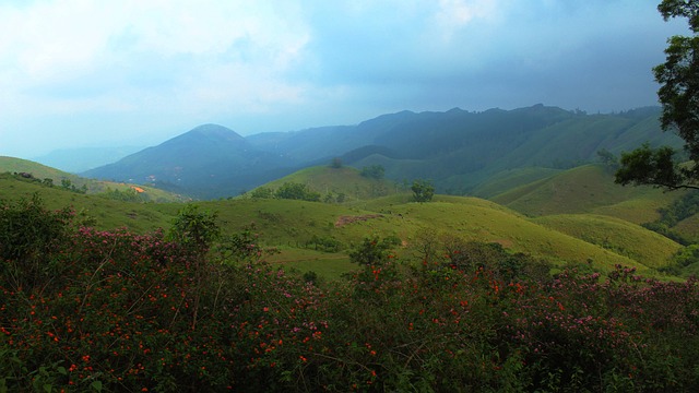 Vagamon 喀拉拉邦 印度 - 上的免费照片