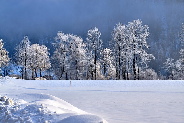 景观 天堂 云 - 上的免费照片
