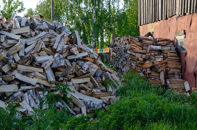 木柴 木桩 花园 - 上的免费照片