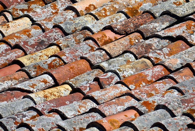 屋顶 砖 屋顶瓦片 - 上的免费照片