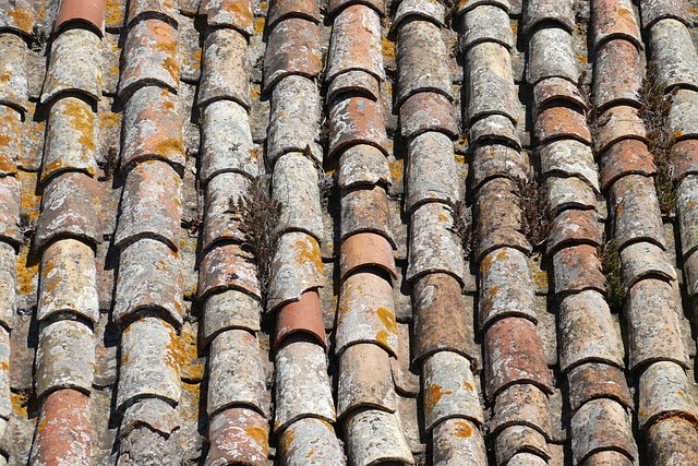 屋顶 砖 屋顶瓦片 - 上的免费照片