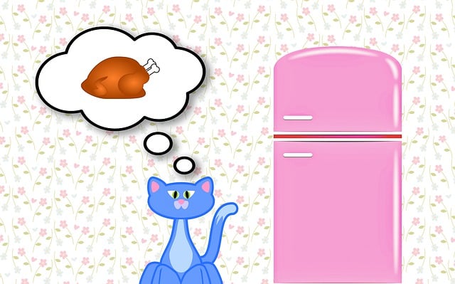 猫 猫食 卡通片 - 上的免费图片