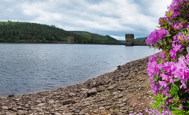 Derwent大坝 Derwent储存器 峰区 - 上的免费照片