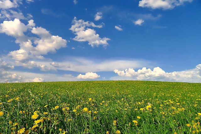 景观 自然 春天 - 上的免费照片