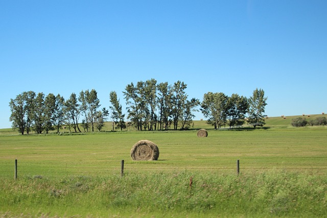 景观 艾伯塔省 加拿大 - 上的免费照片