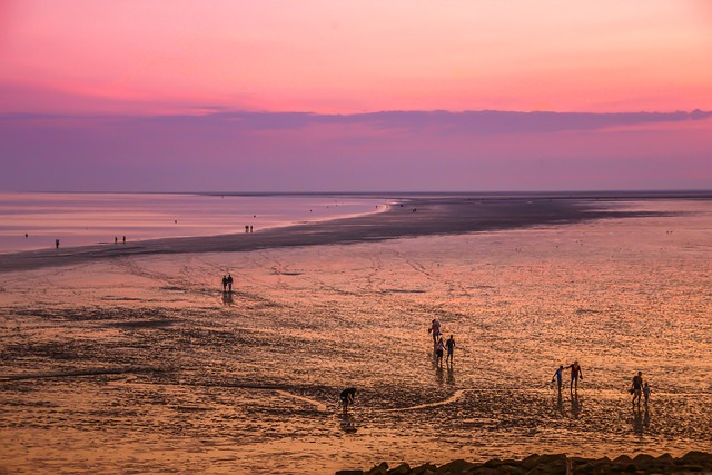 泥滩远足 瓦 海滩 - 上的免费照片