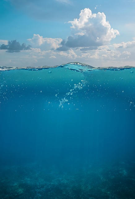 水下 海 海浪 - 上的免费照片