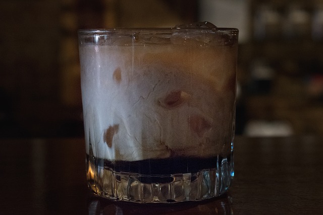 白俄罗斯 鸡尾酒 牛奶 - 上的免费照片