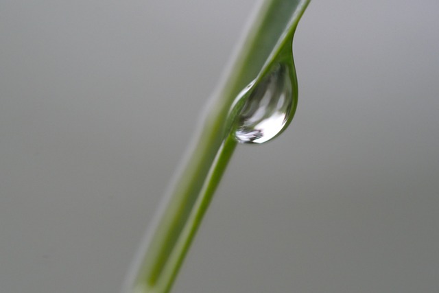 水 水點 水滴 - 上的免费照片