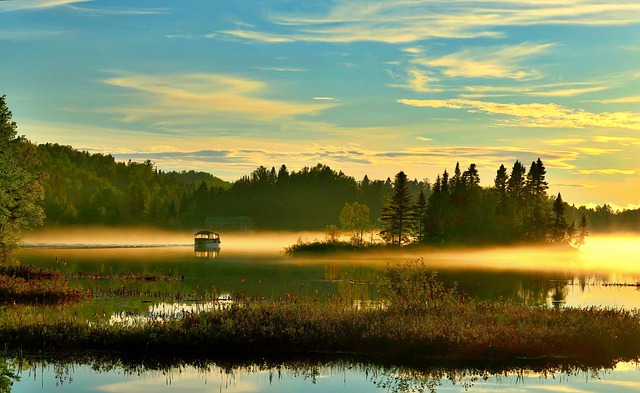 景观 自然 雾 - 上的免费照片