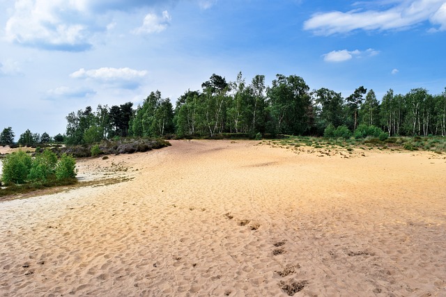 景观 沙丘 移动沙丘 - 上的免费照片