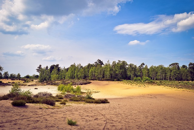 景观 沙丘 移动沙丘 - 上的免费照片