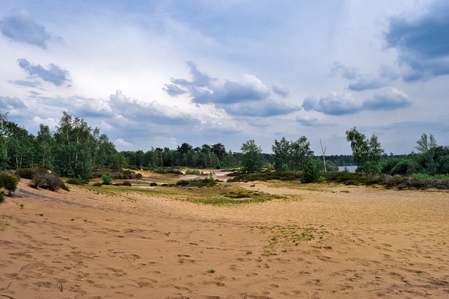 景观 沙丘 移动沙丘 - 上的免费照片