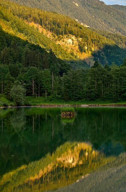 景观 山 森林 - 上的免费照片