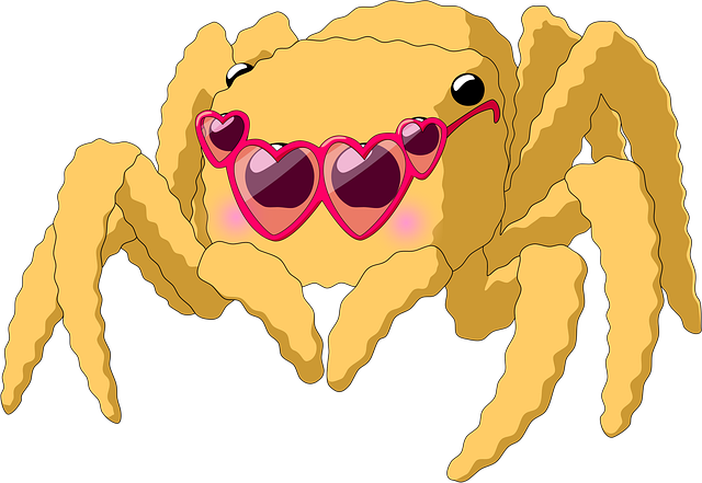 蜘蛛 Salticidae 蛛形 - 上的免费图片