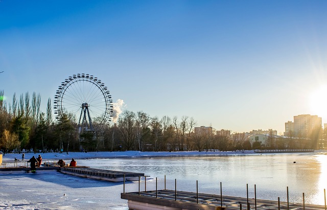 森林 景观 自然 - 上的免费照片