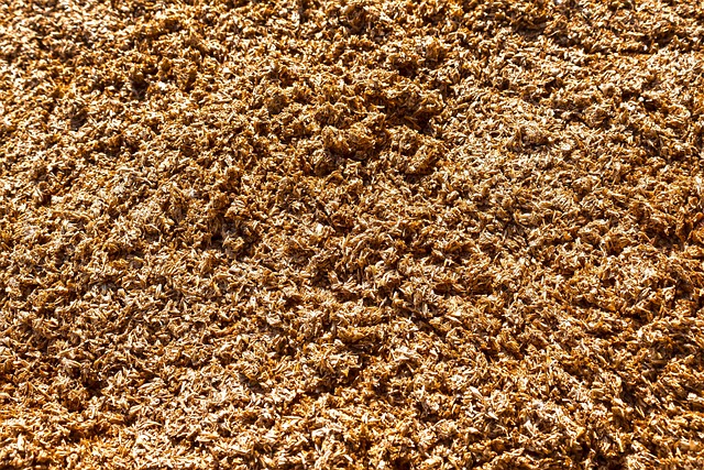 强奸 残留物 压 - 上的免费照片