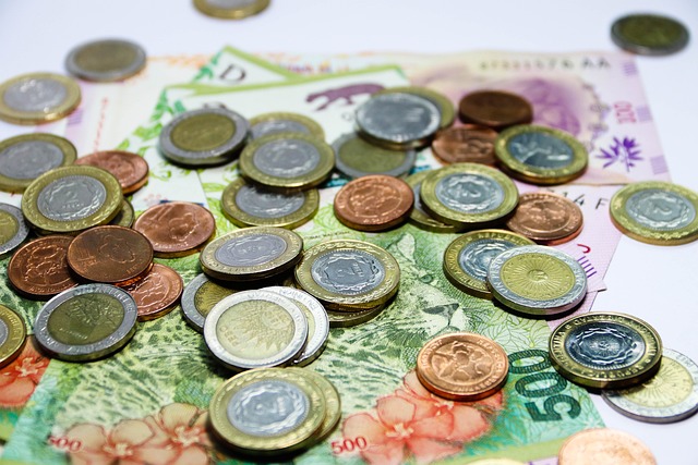 阿根廷 重量 钱 - 上的免费照片