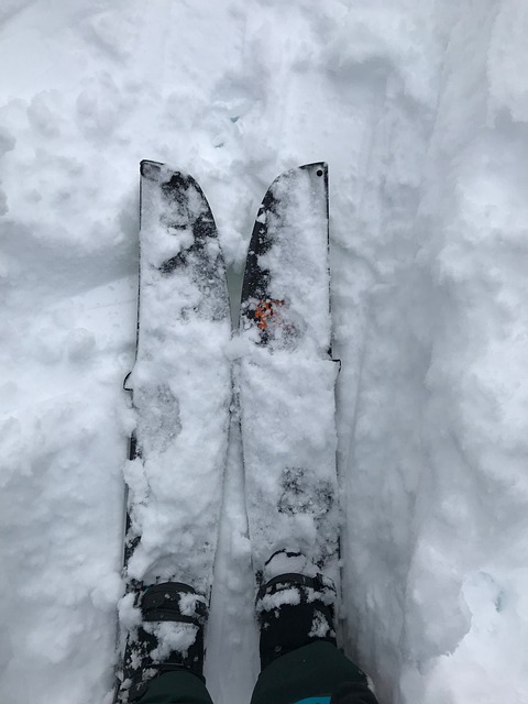 滑雪板 分割板 雪 - 上的免费照片