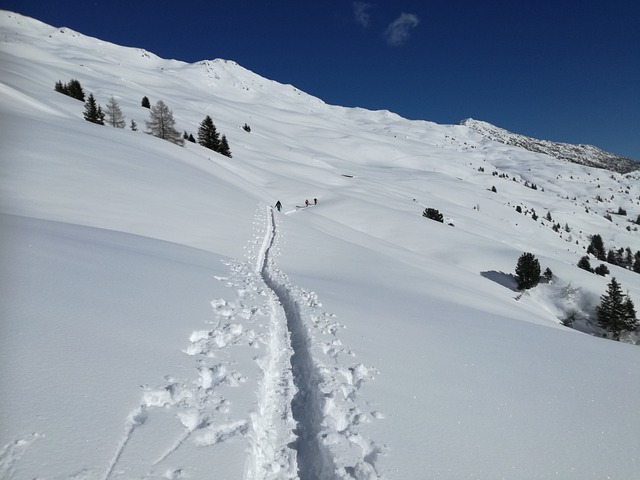 冬天 穷乡僻壤Skiiing 分裂局之旅 - 上的免费照片