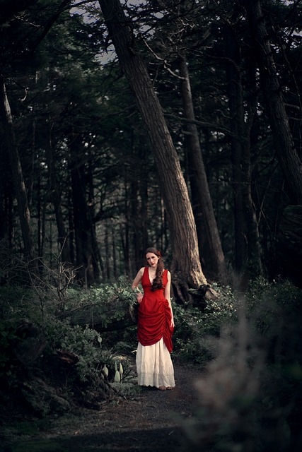 女士 女孩 树木 - 上的免费照片